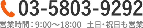電話番号:03-5803-9292